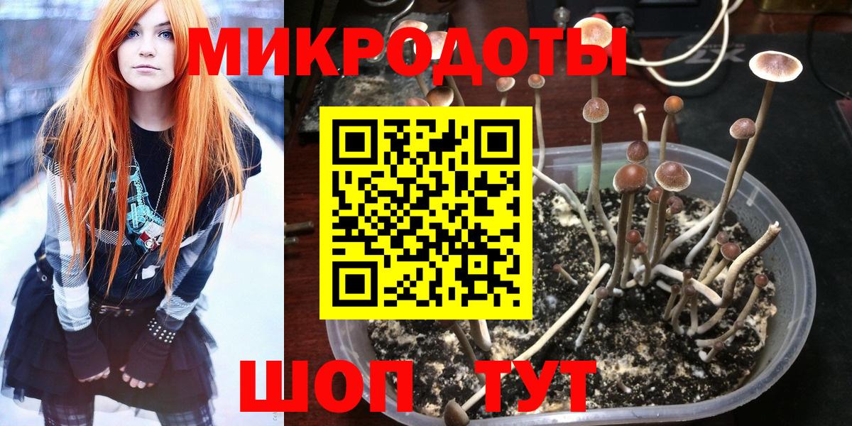 Галлюциногенные грибы Cubensis Тулун